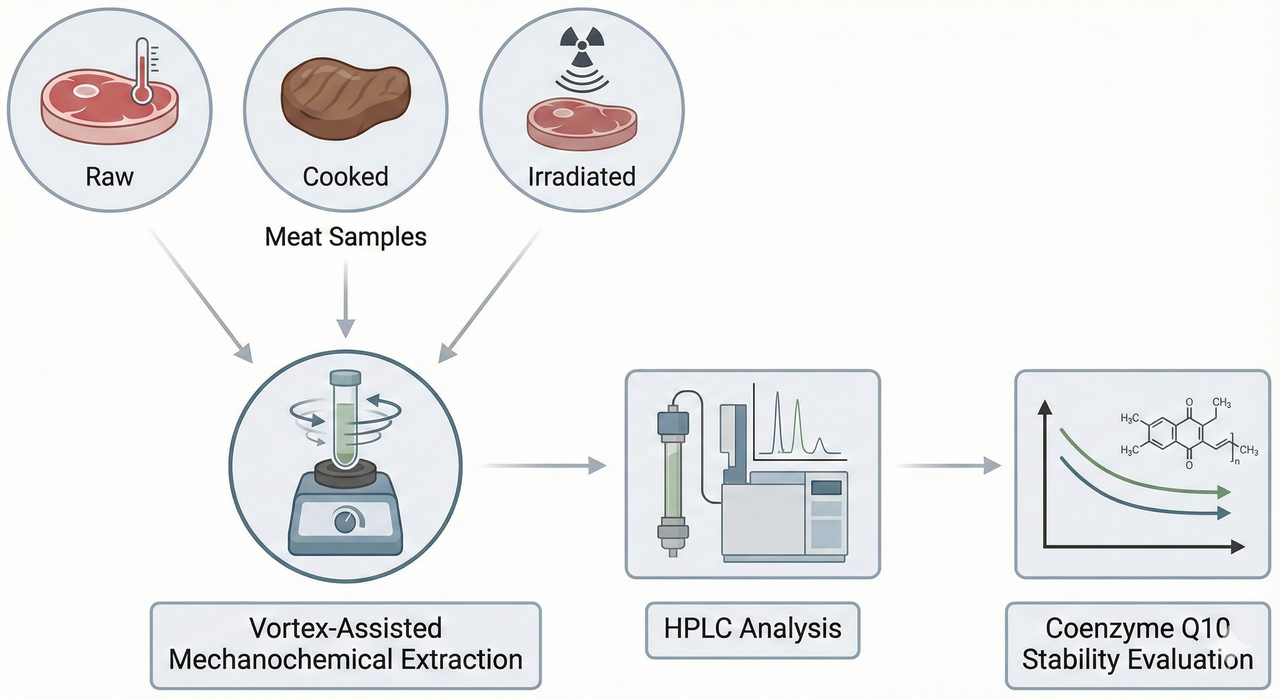Vortex-Assisted Mechanochemical Extraction for Reliable CoQ10 Analysis in Meat
