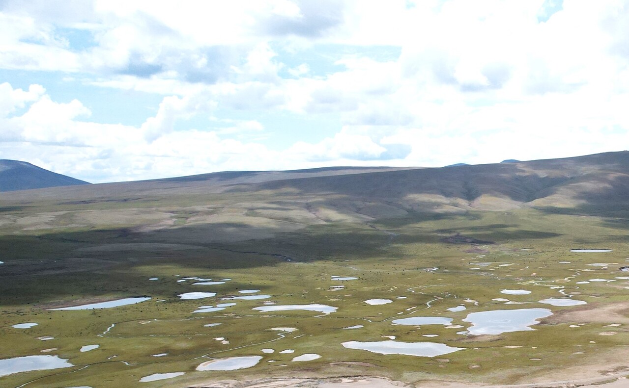 Chemoautotrophic carbon fixation: an overlooked carbon process in thermokarst lakes