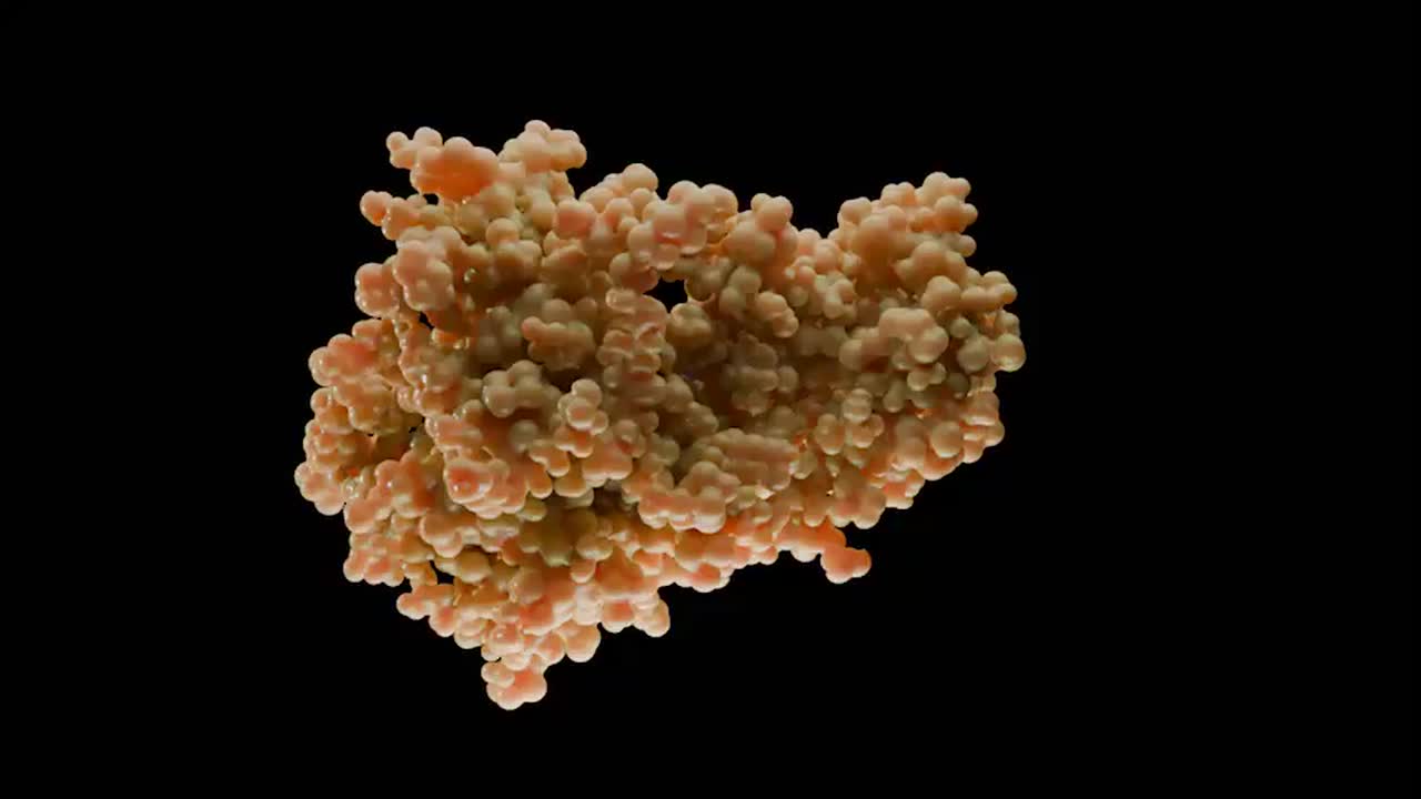 Physics-Based Molecular Dynamics Simulations Shed Light on Protein-Ligand Interactions