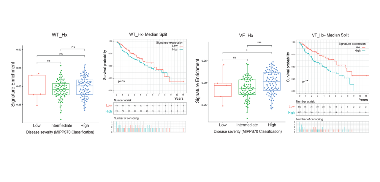 The two faces of HIF-1 in myeloid cancer – the secret reason why PIM1 inhibition is so effective?