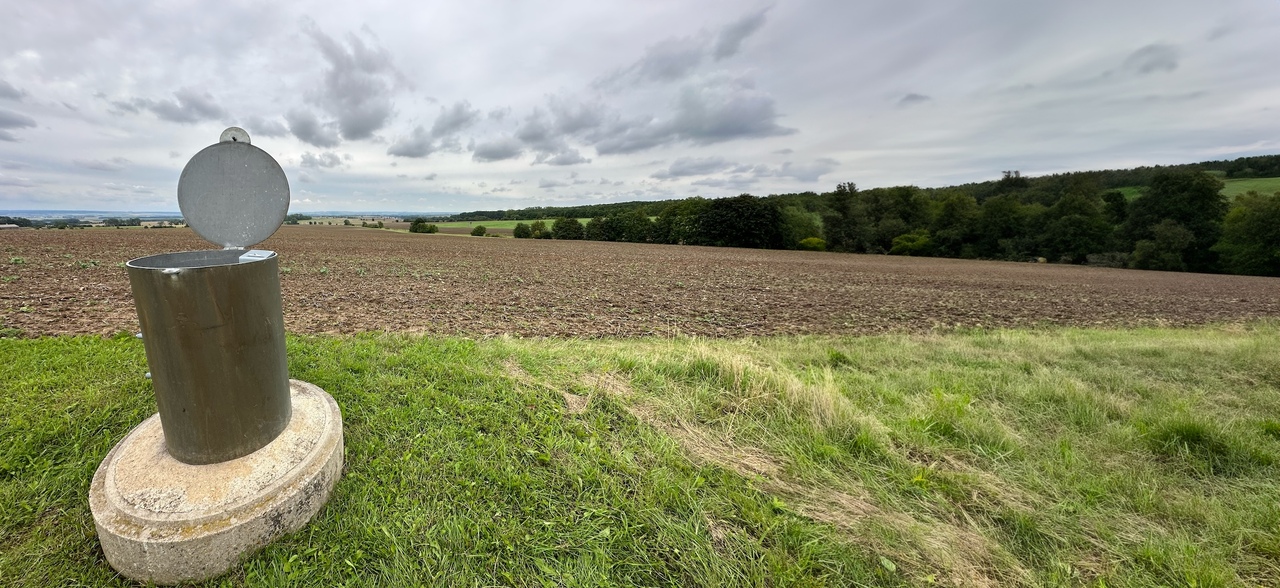 Hidden Viral Worlds Beneath Our Feet: Discovering the Invisible Architects of Groundwater Ecosystems
