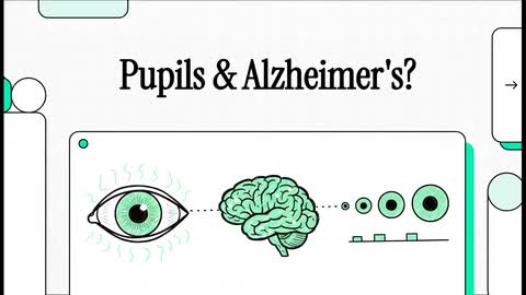 What Your Eyes Reveal About Brain Aging and Alzheimer’s Risk