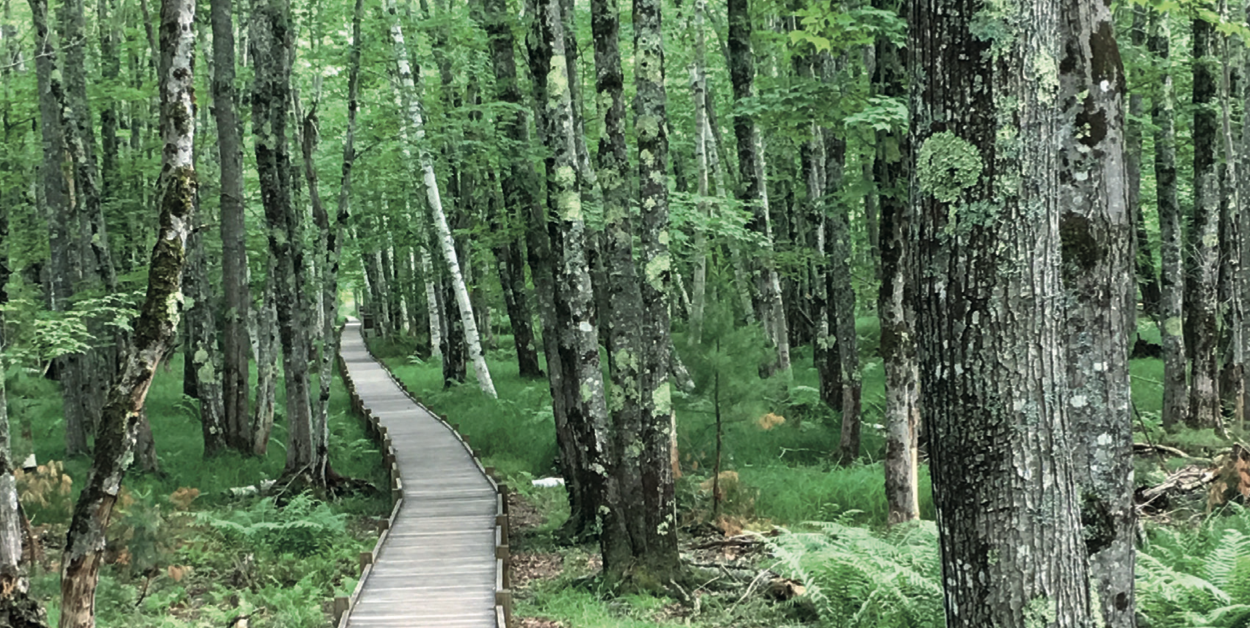 Behind the Scenes of the Intercultural Legacy Project