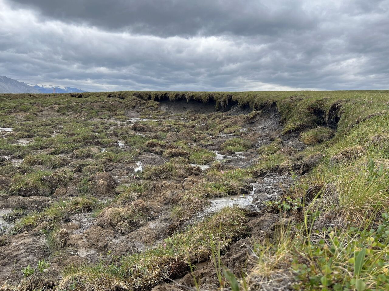 What changes for climate targets when permafrost emissions are included?