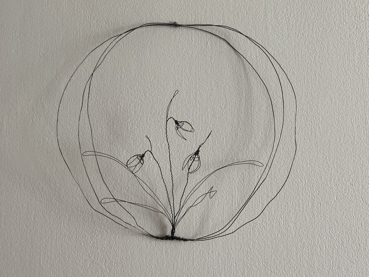 'Take 5': Wired for Insight