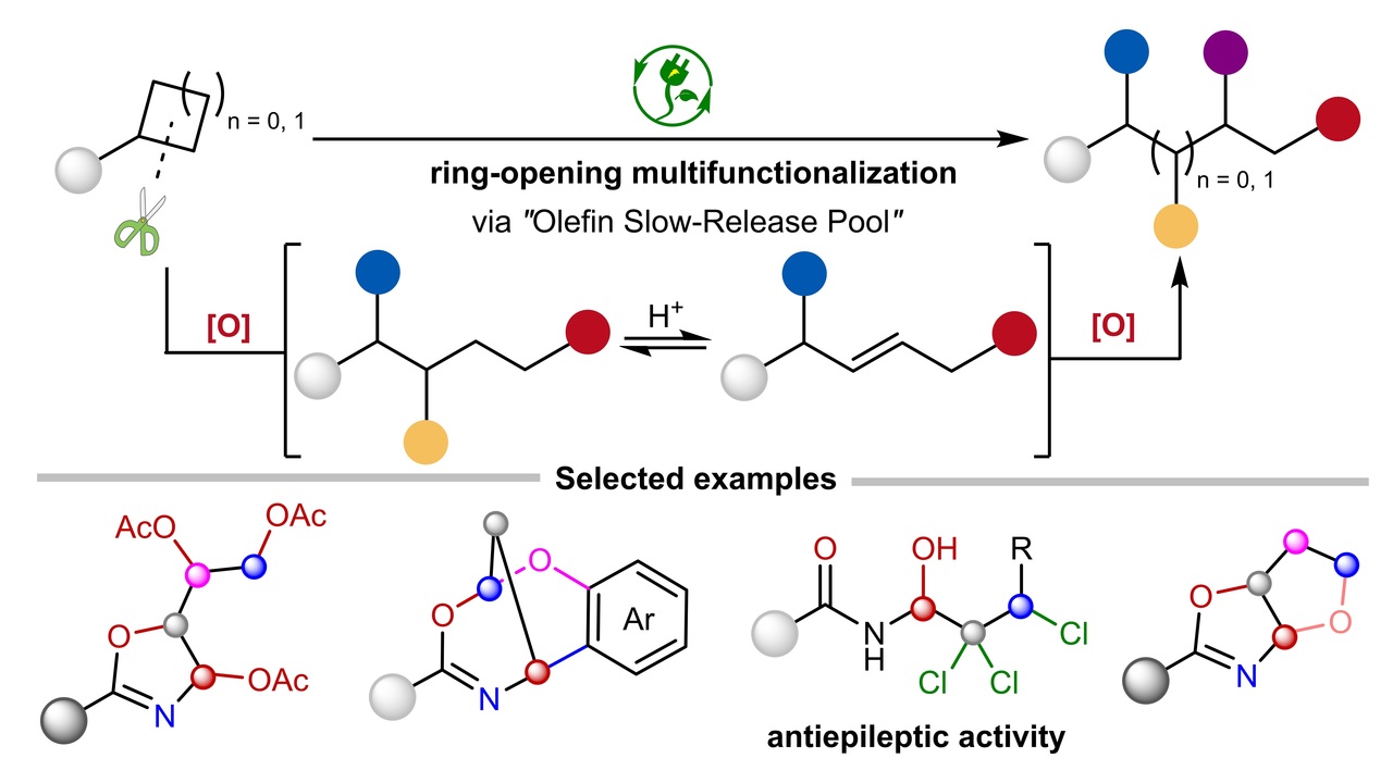 Beyond Difunctionalization: How Electrochemistry Reprogrammed Strained Rings