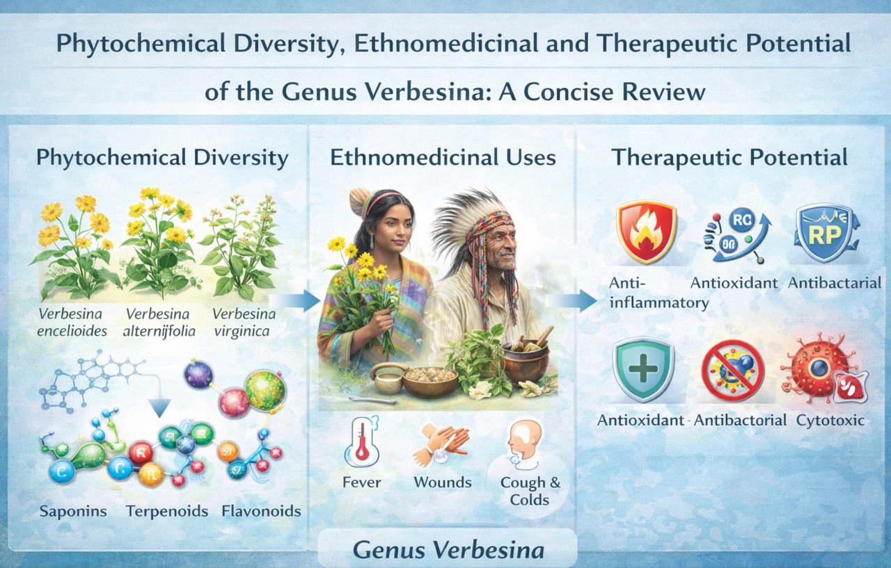 Phytochemical diversity, ethnomedicinal and therapeutic potential of the Genus Verbesina: A concise review