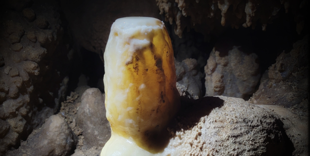 From Caves to Climate: Teamwork in Tunisia