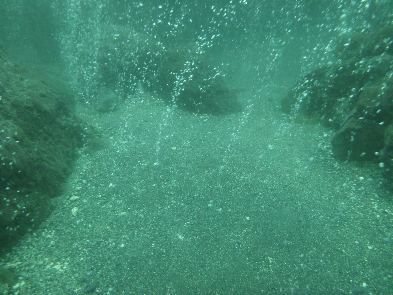 Tracing ancient carbon through a hydrothermal ecosystem