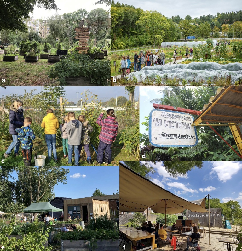 When Co-Creation Meets Reality