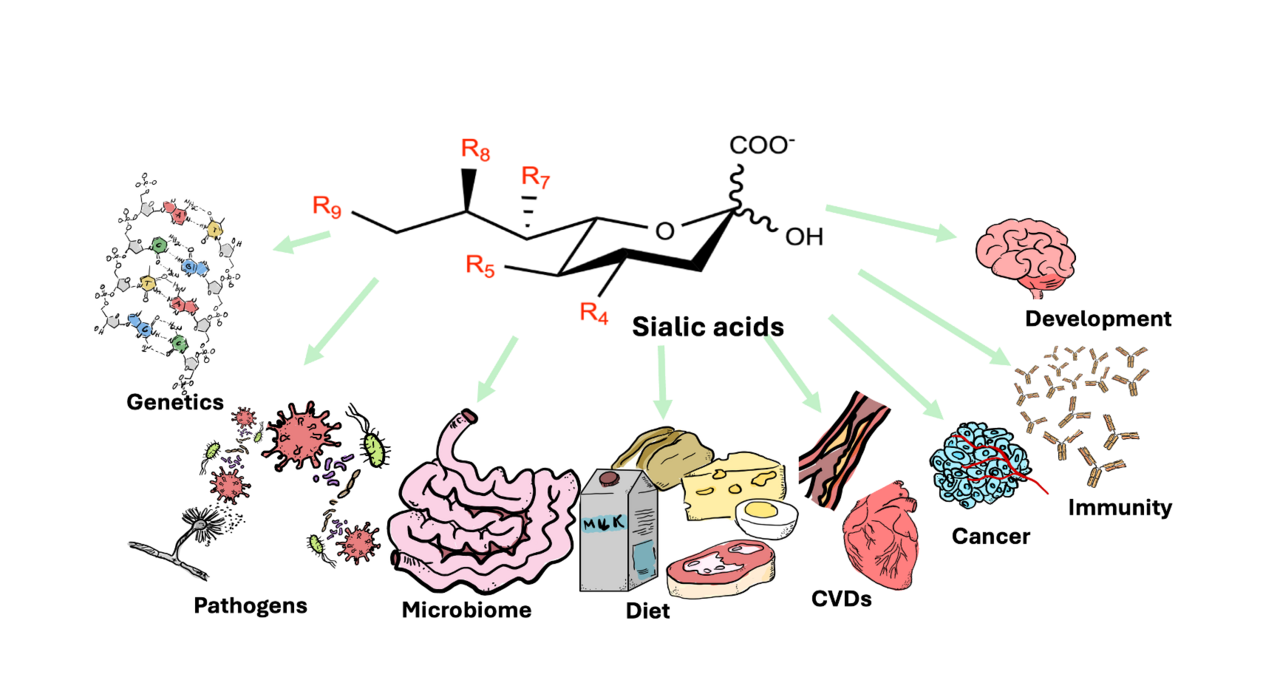 What my PhD taught me about when persistence stops helping