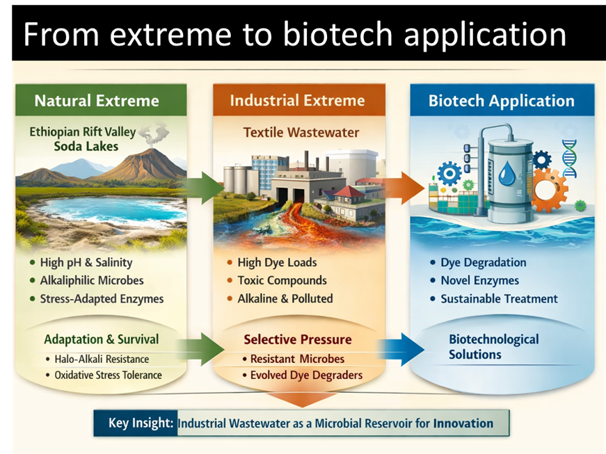 Harnessing Microorganisms from Natural and Anthropogenic Extreme Environments for Wastewater Remediation