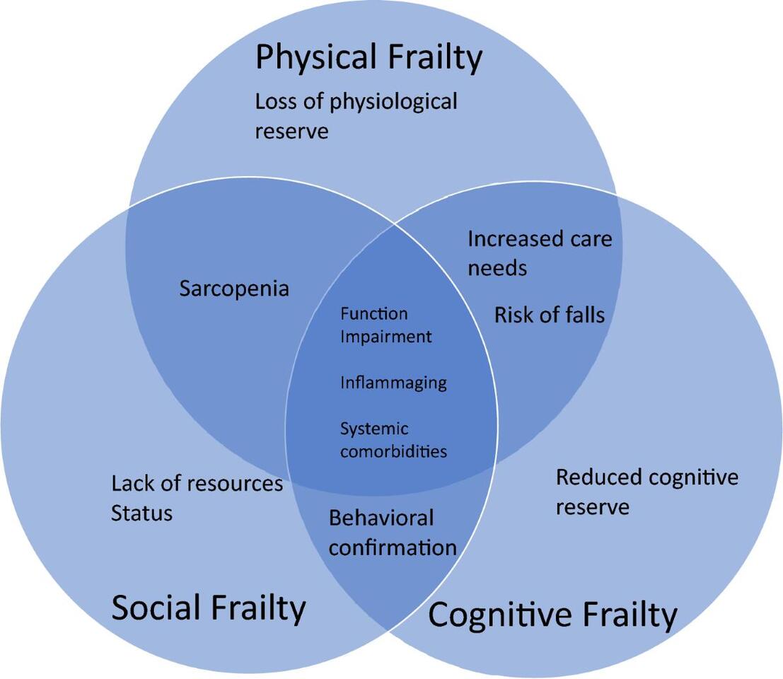 Can Electronic Frailty Scores Transform Chemotherapy Decision-Making? Insights from a Large UK Study