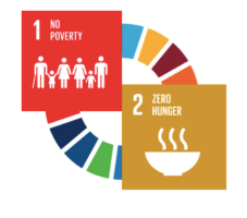 Food Insecurity in Plain Sight: Evidence from Italy's Cities and Regions