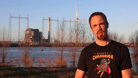 The making of a 1-min Science in Shorts Awards winning video