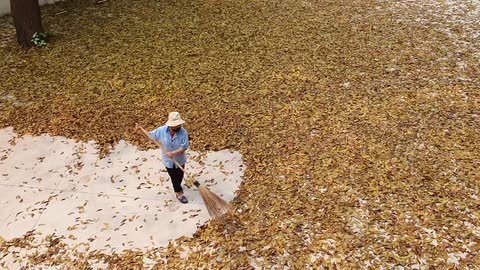 Researchers as Street Sweepers: Clearing Paths Through Complexity